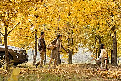 《After Us》IGN 5分：没有有效地传达环保主题