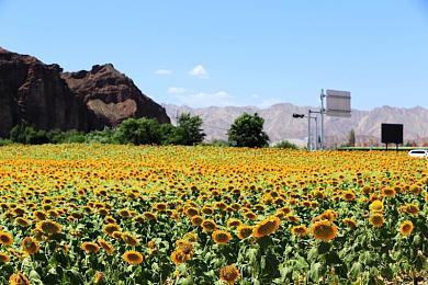 英雄联盟“炽炎雏龙 斯莫德”介绍影片 领龙活动今日开启